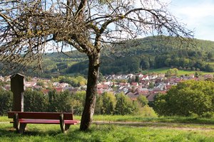 Blick auf Winzingen