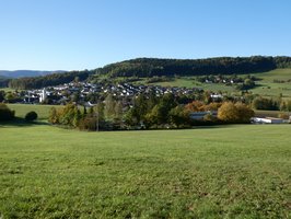 Blick auf Reichenbach 